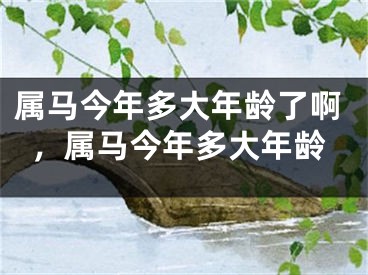 属马今年多大年龄了啊，属马今年多大年龄