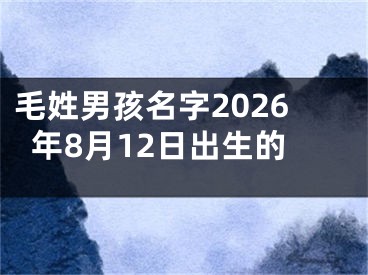毛姓男孩名字2026年8月12日出生的