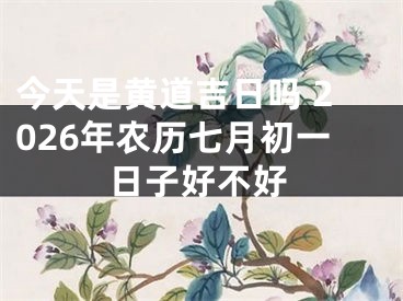 今天是黄道吉日吗 2026年农历七月初一日子好不好