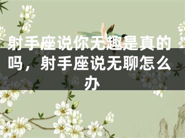 射手座说你无趣是真的吗，射手座说无聊怎么办