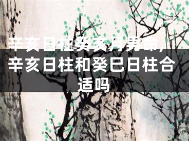辛亥日柱癸亥月男命,辛亥日柱和癸巳日柱合适吗