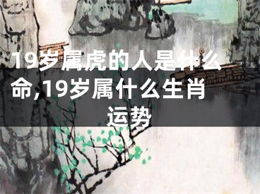 19岁属虎的人是什么命,19岁属什么生肖运势