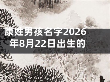 康姓男孩名字2026年8月22日出生的