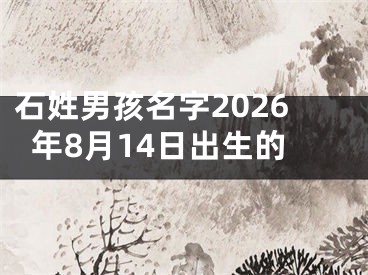 石姓男孩名字2026年8月14日出生的