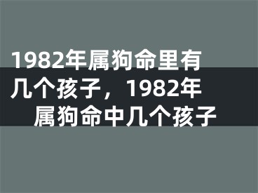 1982年属狗命里有几个孩子，1982年属狗命中几个孩子