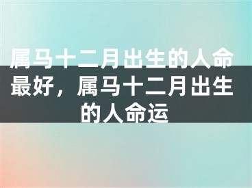 属马十二月出生的人命最好,属马十二月出生的人命运