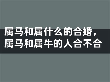 属马和属什么的合婚，属马和属牛的人合不合