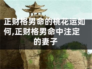 正财格男命的桃花运如何,正财格男命中注定的妻子