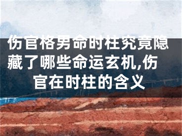 伤官格男命时柱究竟隐藏了哪些命运玄机,伤官在时柱的含义