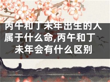 丙午和丁未年出生的人属于什么命,丙午和丁未年会有什么区别