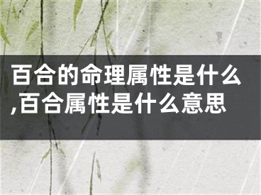百合的命理属性是什么,百合属性是什么意思