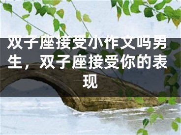 双子座接受小作文吗男生，双子座接受你的表现