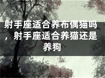射手座适合养布偶猫吗，射手座适合养猫还是养狗