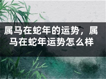 属马在蛇年的运势，属马在蛇年运势怎么样
