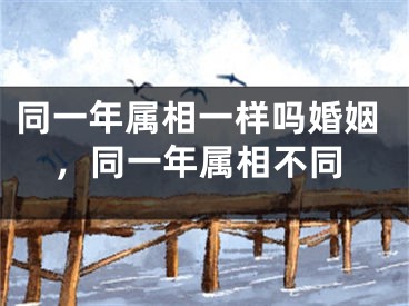 同一年属相一样吗婚姻,同一年属相不同