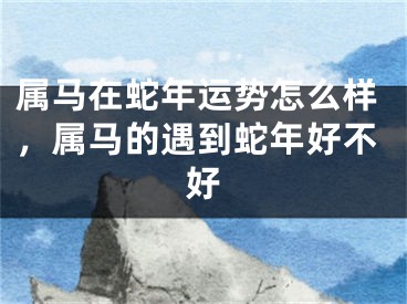 属马在蛇年运势怎么样，属马的遇到蛇年好不好