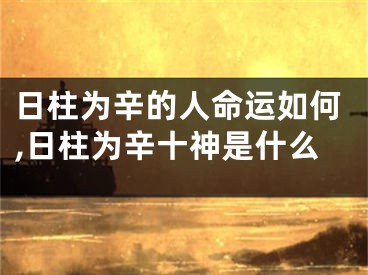 日柱为辛的人命运如何,日柱为辛十神是什么
