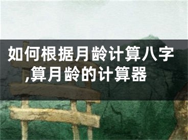 如何根据月龄计算八字,算月龄的计算器