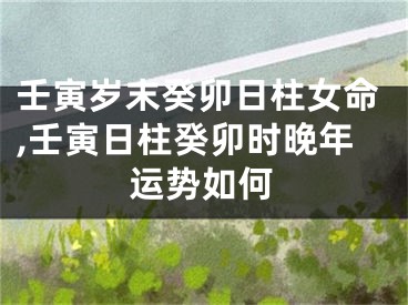 壬寅岁末癸卯日柱女命,壬寅日柱癸卯时晚年运势如何