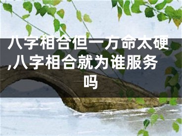 八字相合但一方命太硬,八字相合就为谁服务吗