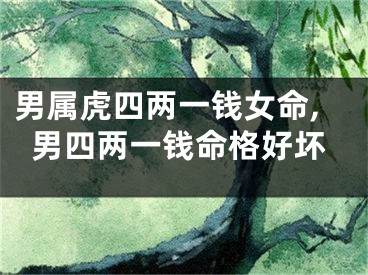 男属虎四两一钱女命,男四两一钱命格好坏