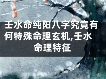 壬水命纯阳八字究竟有何特殊命理玄机,壬水命理特征