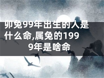 卯兔99年出生的人是什么命,属兔的1999年是啥命