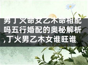 男丁火命女乙木命相配吗五行婚配的奥秘解析,丁火男乙木女谁旺谁