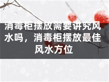 消毒柜摆放需要讲究风水吗，消毒柜摆放最佳风水方位