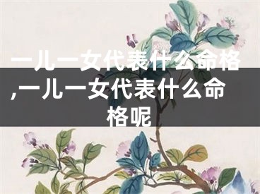 一儿一女代表什么命格,一儿一女代表什么命格呢