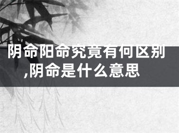 阴命阳命究竟有何区别,阴命是什么意思