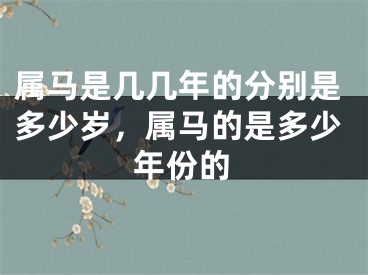 属马是几几年的分别是多少岁，属马的是多少年份的