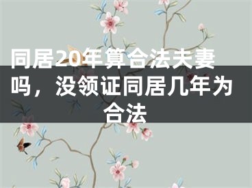 同居20年算合法夫妻吗,没领证同居几年为合法