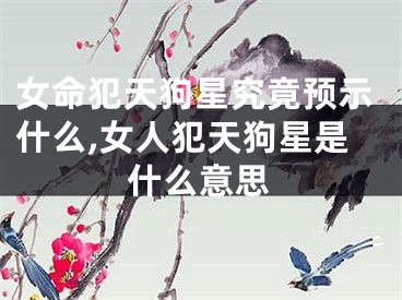 女命犯天狗星究竟预示什么,女人犯天狗星是什么意思