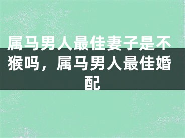 属马男人最佳妻子是不猴吗，属马男人最佳婚配