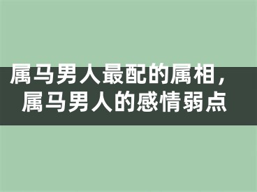 属马男人最配的属相，属马男人的感情弱点