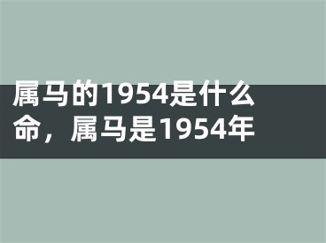 属马的1954是什么命，属马是1954年