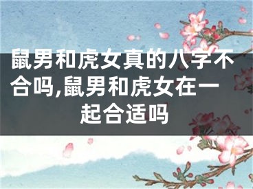 鼠男和虎女真的八字不合吗,鼠男和虎女在一起合适吗