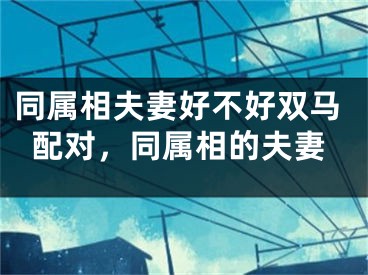 同属相夫妻好不好双马配对，同属相的夫妻