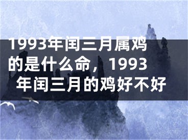 1993年闰三月属鸡的是什么命，1993年闰三月的鸡好不好