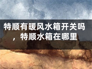 特顺有暖风水箱开关吗，特顺水箱在哪里