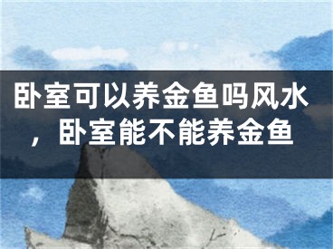 卧室可以养金鱼吗风水，卧室能不能养金鱼