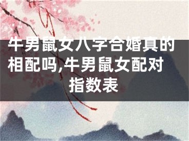 牛男鼠女八字合婚真的相配吗,牛男鼠女配对指数表