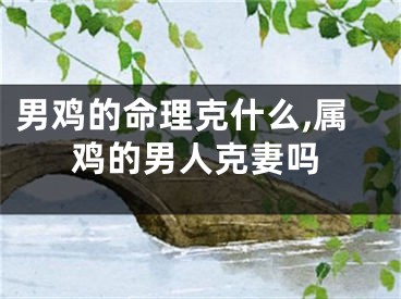 男鸡的命理克什么,属鸡的男人克妻吗