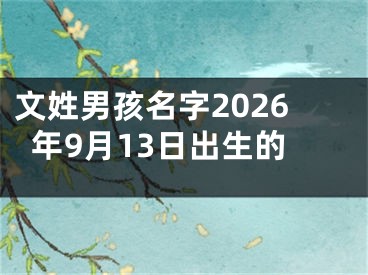 文姓男孩名字2026年9月13日出生的