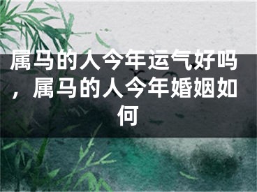 属马的人今年运气好吗，属马的人今年婚姻如何