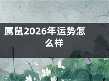 属鼠2026年运势怎么样