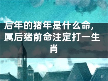 后年的猪年是什么命,属后猪前命注定打一生肖