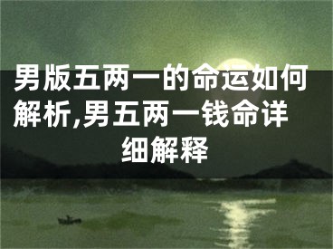 男版五两一的命运如何解析,男五两一钱命详细解释