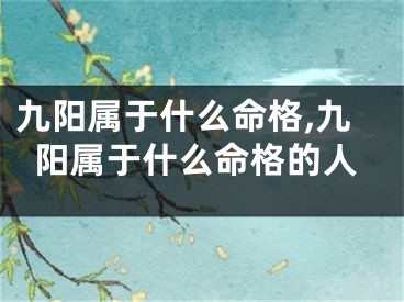 九阳属于什么命格,九阳属于什么命格的人